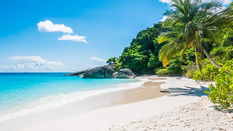 Hawaii Beaches