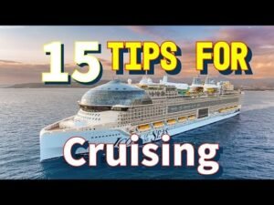 Cruise Ship Passenger Falls Overboard