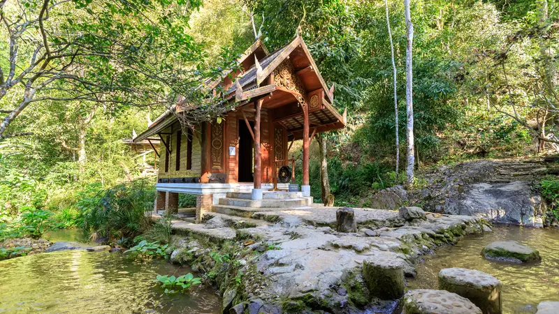 Rivers Edge Treehouse Resort – A Hidden Paradise in Nature