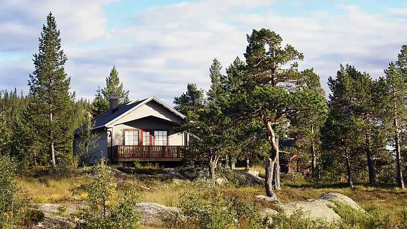 Rivers Edge Treehouse Resort