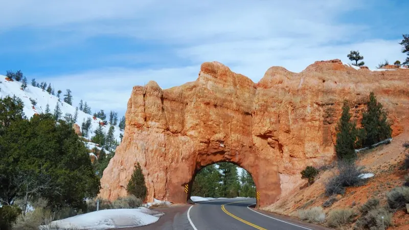 Best Grand Canyon West Rim Bus Tours from Las Vegas