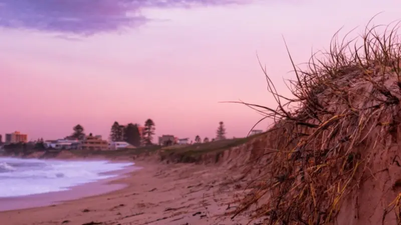 Pink Sand Beaches in Hawaii