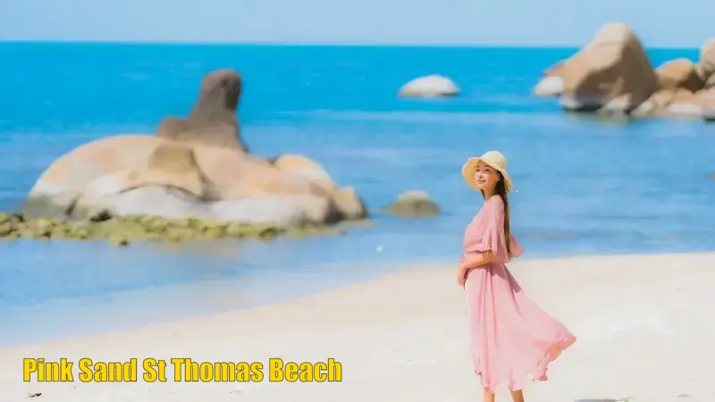 Pink Sand St Thomas Beach