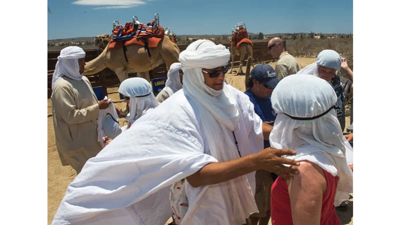 The Best Cabo Excursions on Land: Desert, Dunes and Pacific Views